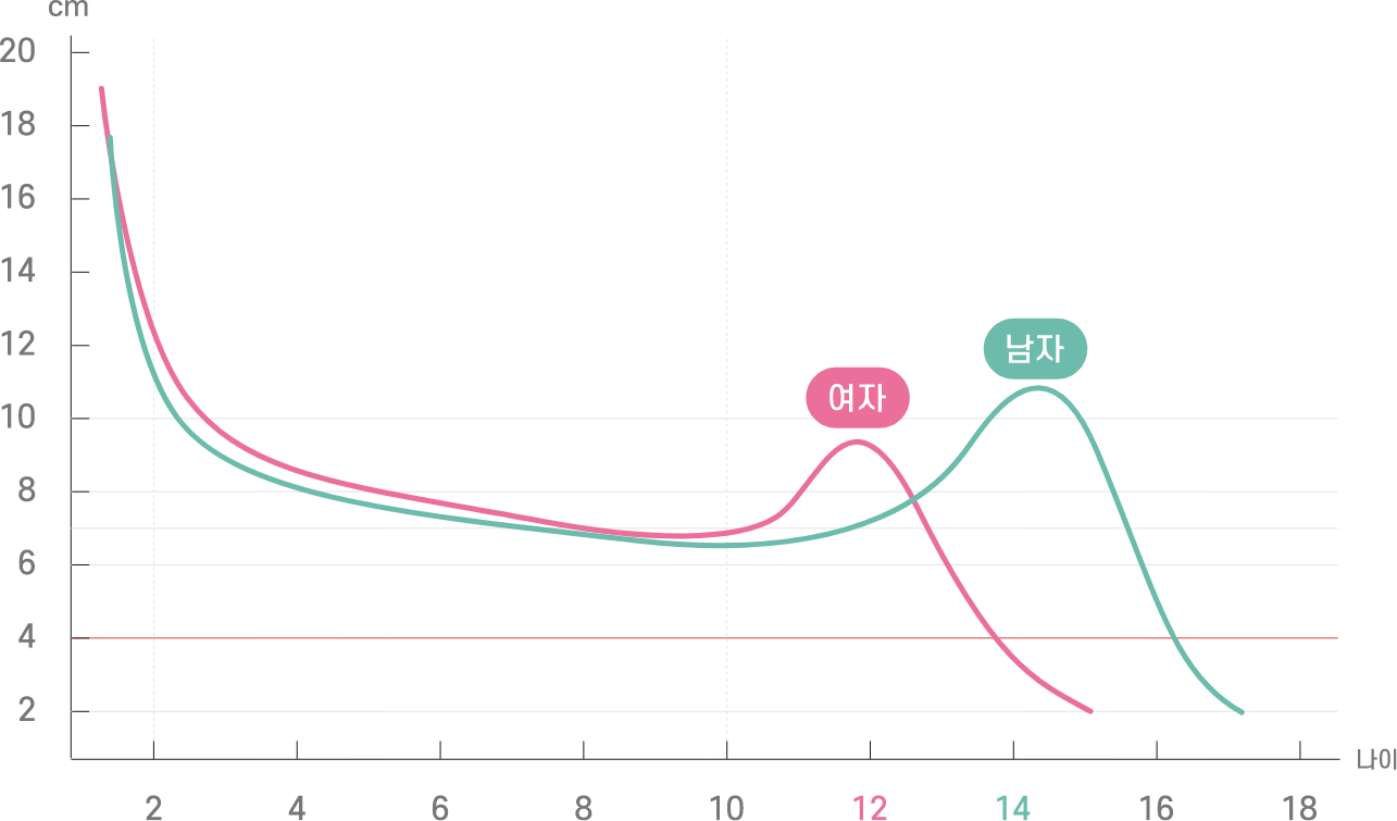 인간의 성장 속도 곡선